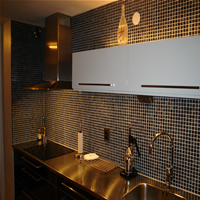 pic11